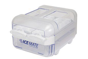 ICM101