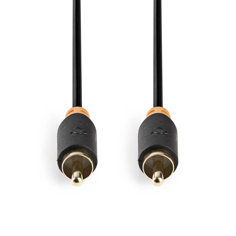 CABW24170AT20 RCA Mâle Et fiche RCA Mâle
