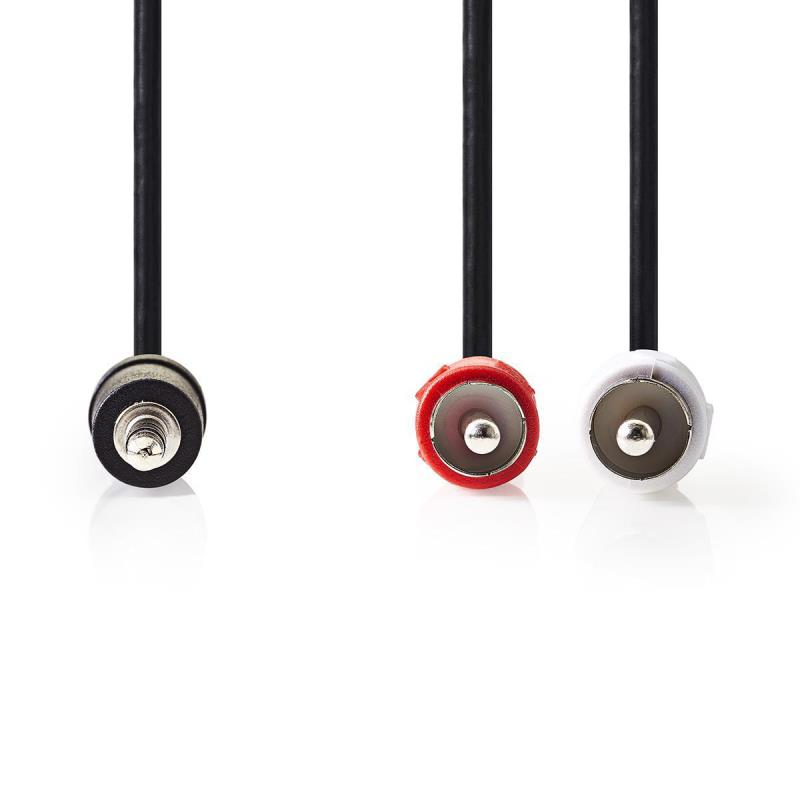 CAGT22200BK15 3,5 mm mâle Et fiche 2x RCA Mâles