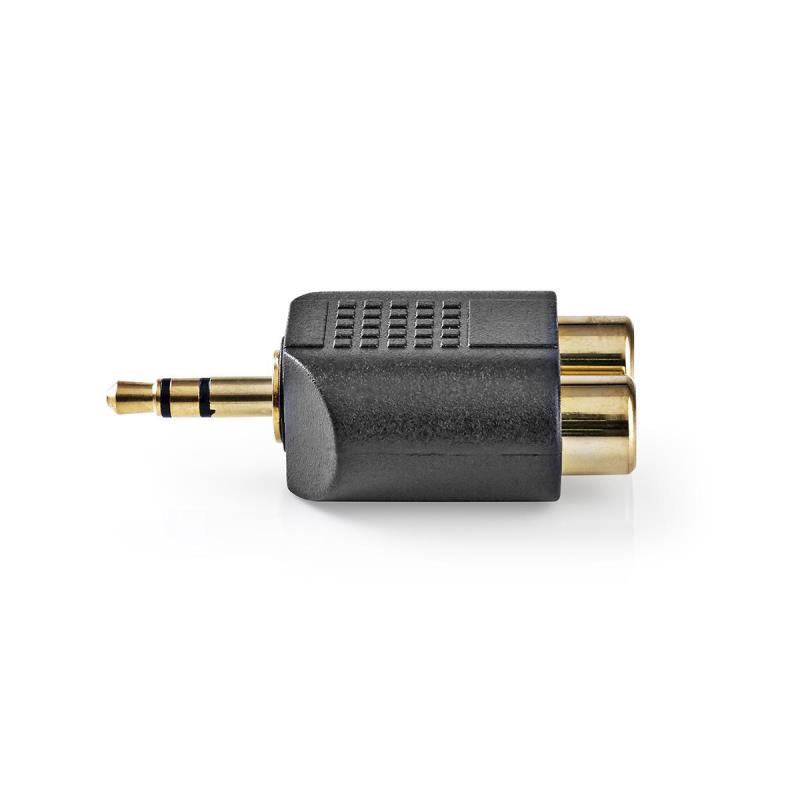 CAGP22940BKG 3,5 mm mâle Et fiche 2x RCA Femelle