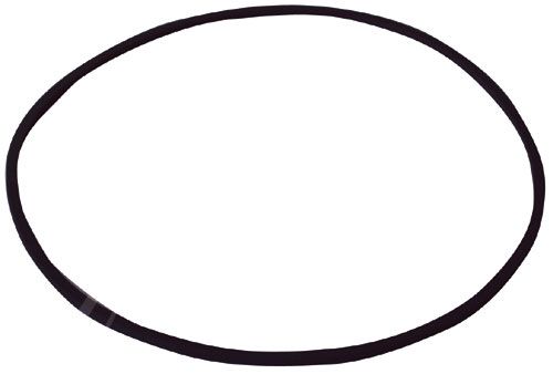 Courroie carrée diamètre intérieur 100mm x 2mm longueur 314,16mm pour REVOX A77