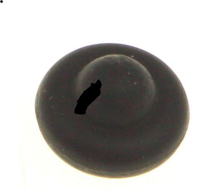 C00382262