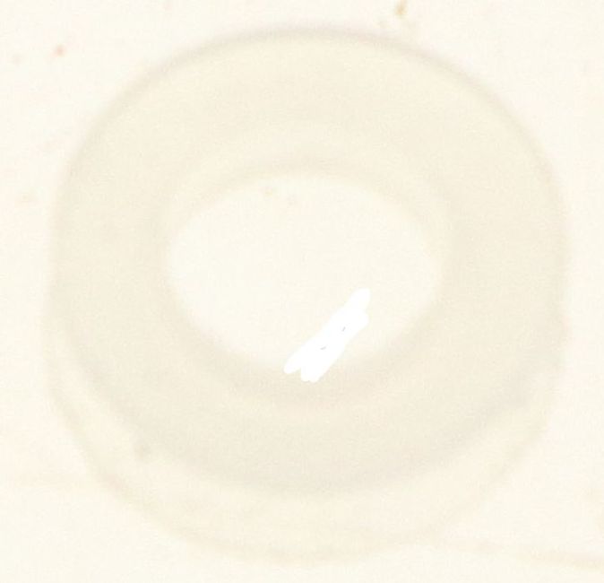 MS650555