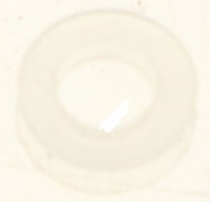 MS650555