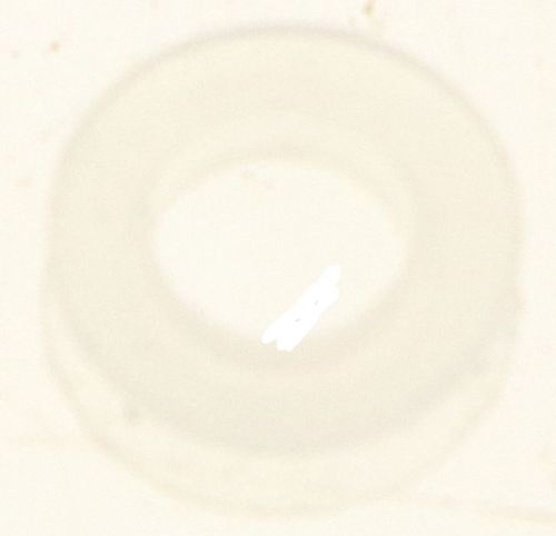 MS650555 - vue complémentaire 1